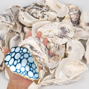 15PCS Oyster Shells 4"-5" Concave Oyster Shells for Crafts Natural Oyster Shells Bulk, for Home Vase Filler, Xmas Ornaments, DIY Arts and Crafts Sea Shells