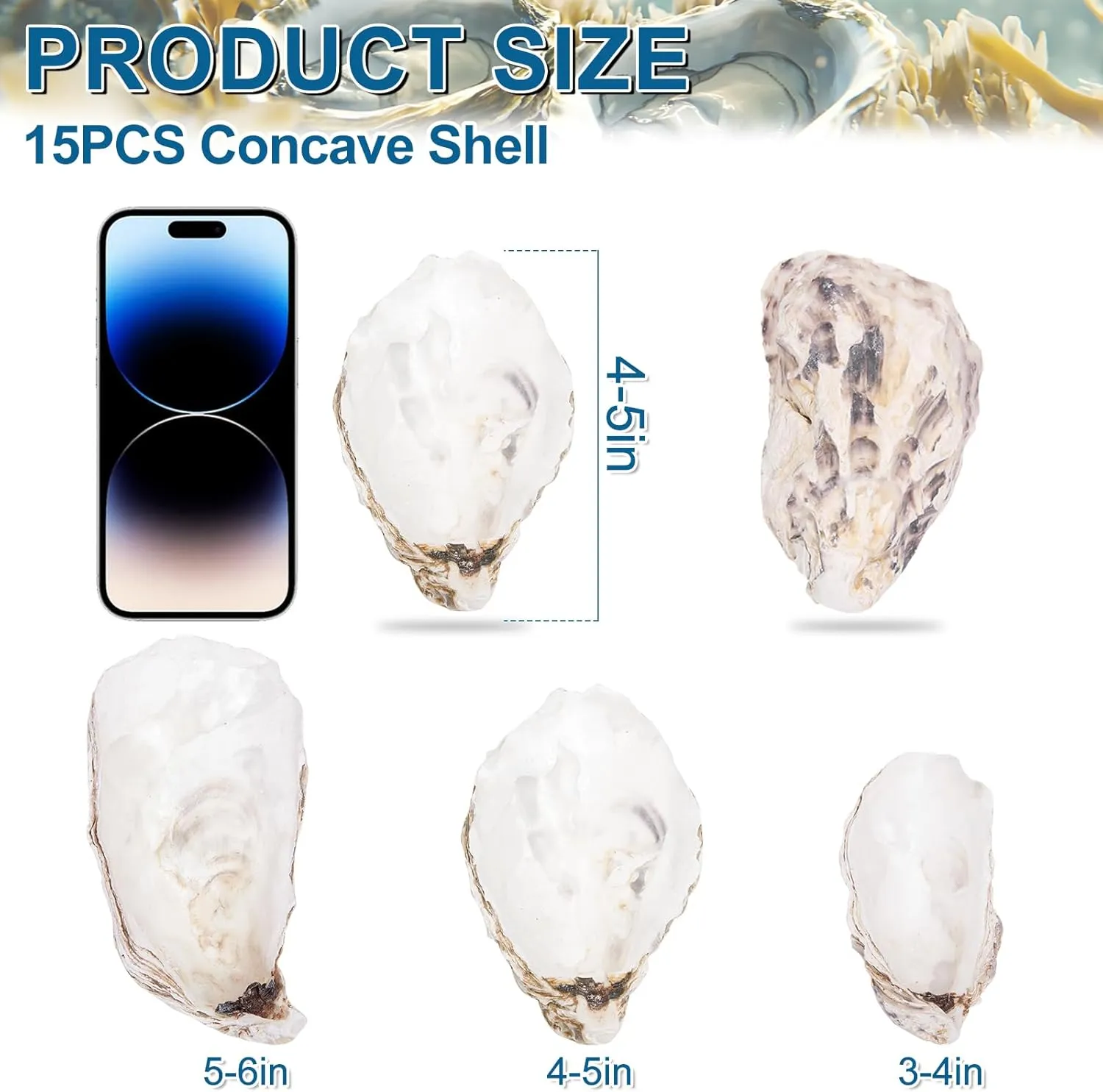 15PCS Oyster Shells 4"-5" Concave Oyster Shells for Crafts Natural Oyster Shells Bulk, for Home Vase Filler, Xmas Ornaments, DIY Arts and Crafts Sea Shells