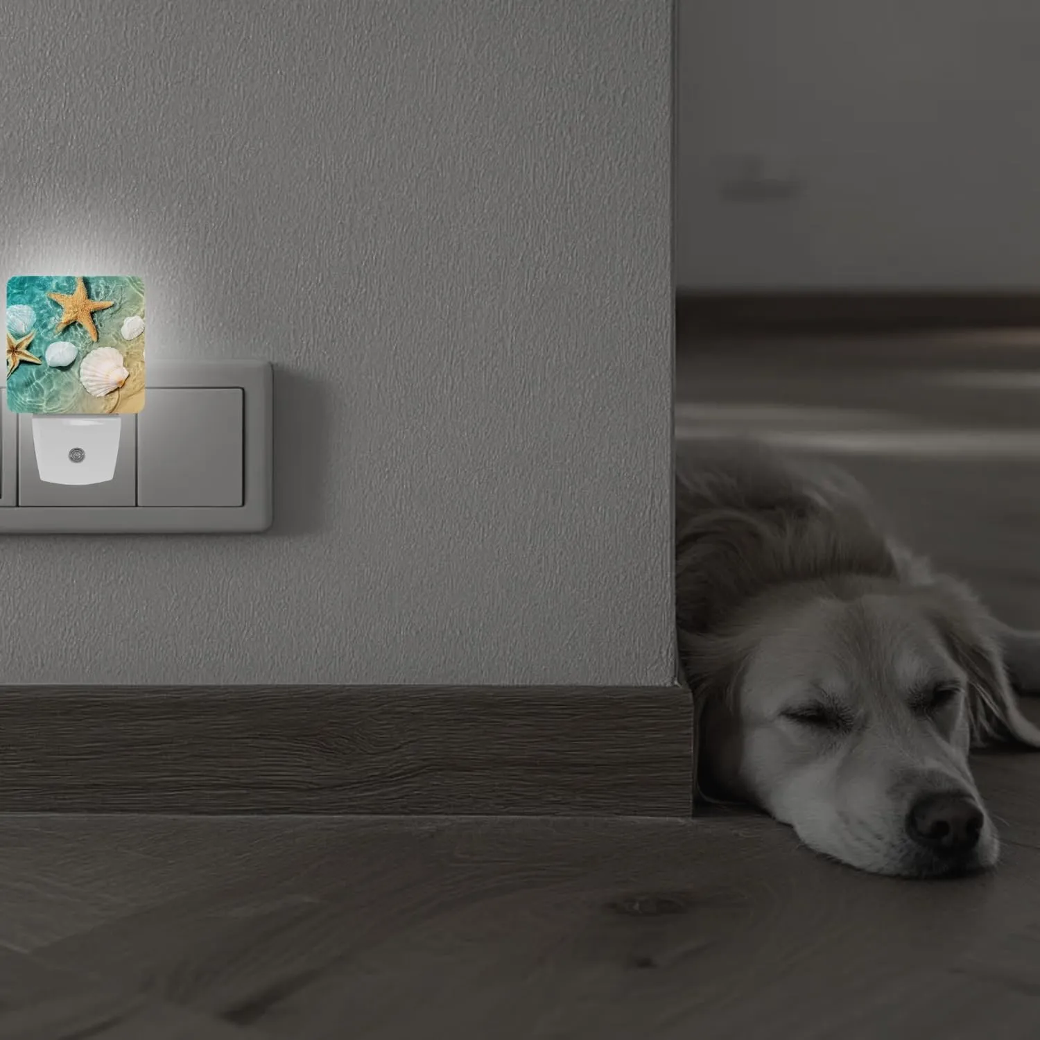 2 Pack Plug-in Night Lights - Automatic Sensor Dusk-to-Dawn LED Warm Sweet Wall Nightlight for Home, Bedroom, Kitchen, Hallway (Ocean Seashell Starfish)
