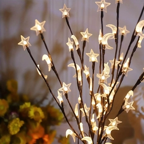20 LED Star Moon Fairy Lights for Decor