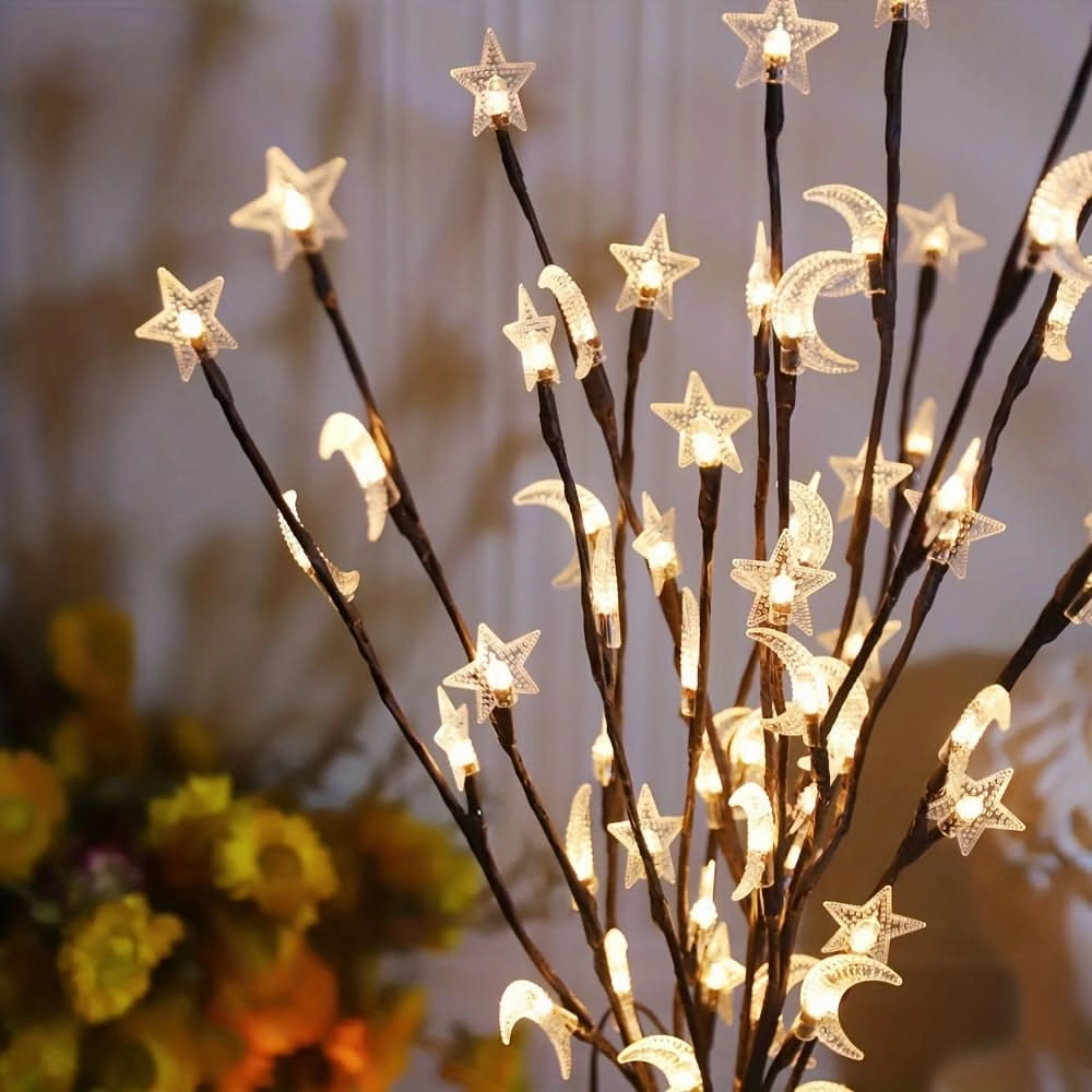 20 LED Star Moon Fairy Lights for Decor