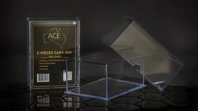 250 Count Card Storage Box