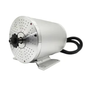 48V 2000W 4500RPM Electric Scooter BLDC Motor MY1020 for E-Scooter Motorcycle Accessories Part (Type, 48V 2000W Motor), Silver
