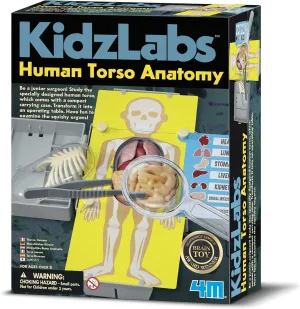 4M "Kidz Labs Human Torso Toy