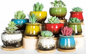 ARTKETTY Succulent Pots - Small Succulent Plant Pot with Drainage Trays Ceramic Flower Pots for Indoor Cactus Plants Set of 10
