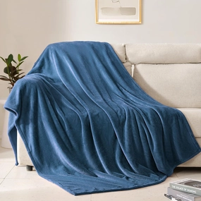 BEAUTEX Fleece Blanket Queen Size Super Soft Flannel Throw Blanket Lightweight Fuzzy Plush Blanket for Couch Sofa or Bed All Seasons (Dusty Blue, 90" x 90")