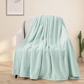 BEAUTEX Fleece Blanket Queen Size Super Soft Flannel Throw Blanket Lightweight Fuzzy Plush Blanket for Couch Sofa or Bed All Seasons (Mint, 90" x 90")