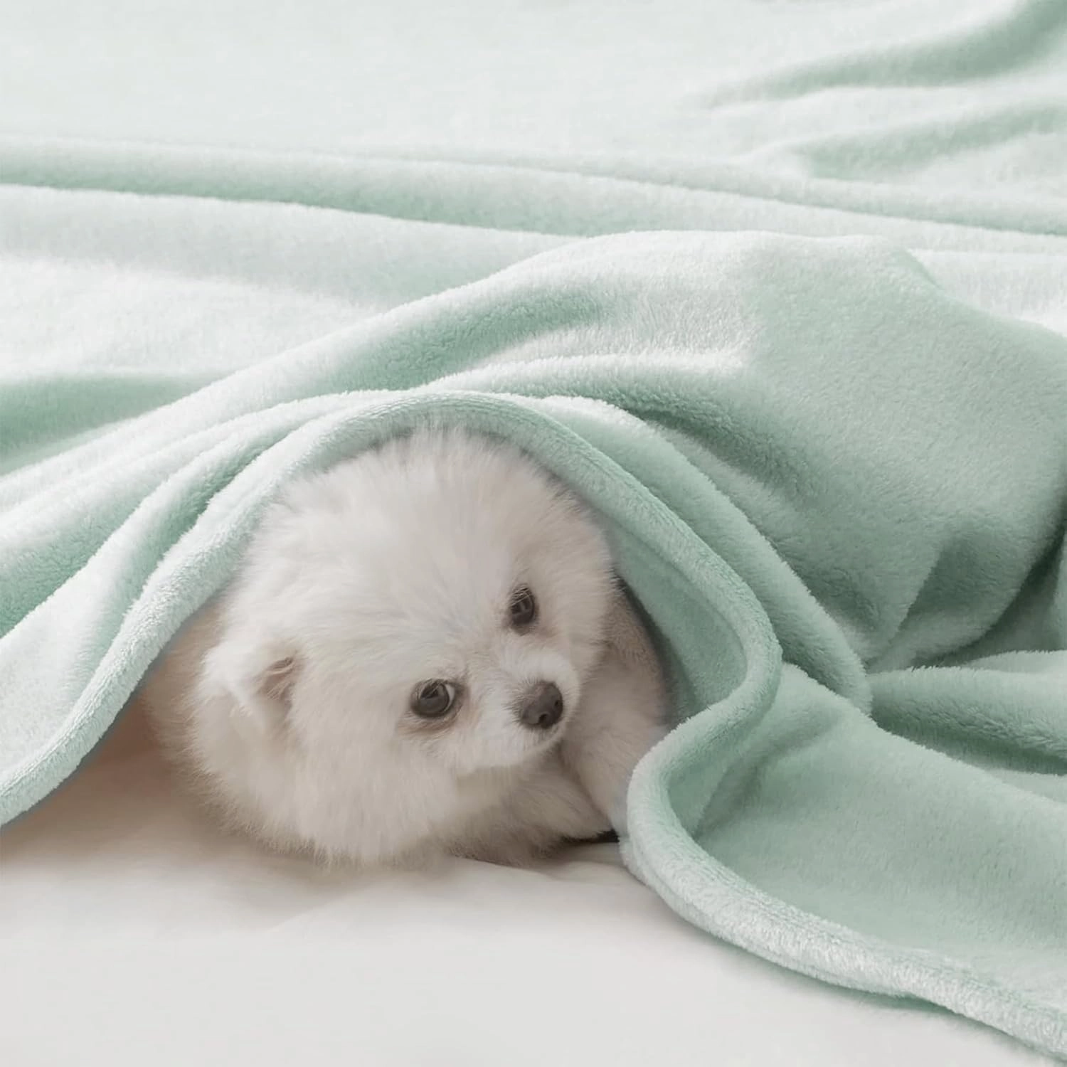 BEAUTEX Fleece Blanket Queen Size Super Soft Flannel Throw Blanket Lightweight Fuzzy Plush Blanket for Couch Sofa or Bed All Seasons (Mint, 90" x 90")