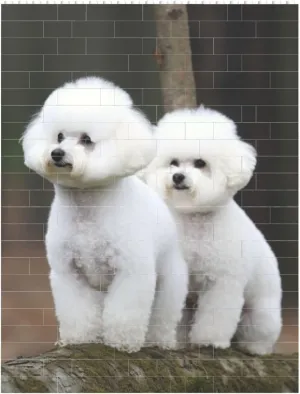 Bichon Frise Building Block Puzzle Personalized Building Bricks For Adults Square Shaped Block Puzzle Building Family Keepsake Diy Brick Block Puzzles Valentine'S Day Gifts For Home Decor Brick Puzzle
