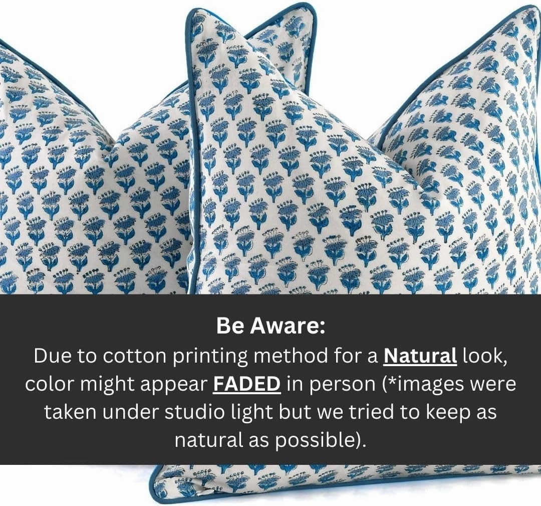 CPC 100% Cotton Throw Pillow Covers 20x20 Inch, Set of 2 Blue Block Print Pattern Couch Pillow, Cute Boho Decorative Pillows for Living Room, Bedroom with Hidden Zipper- Apatite Blue