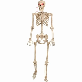 Crazy Bonez Talking Pose and Stay Skeleton