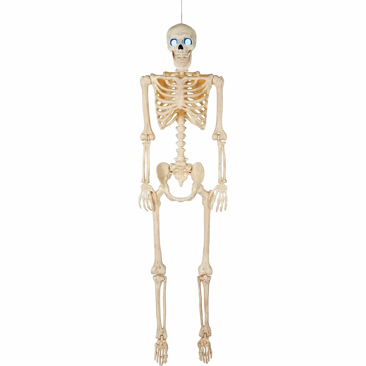 Crazy Bonez Talking Pose and Stay Skeleton