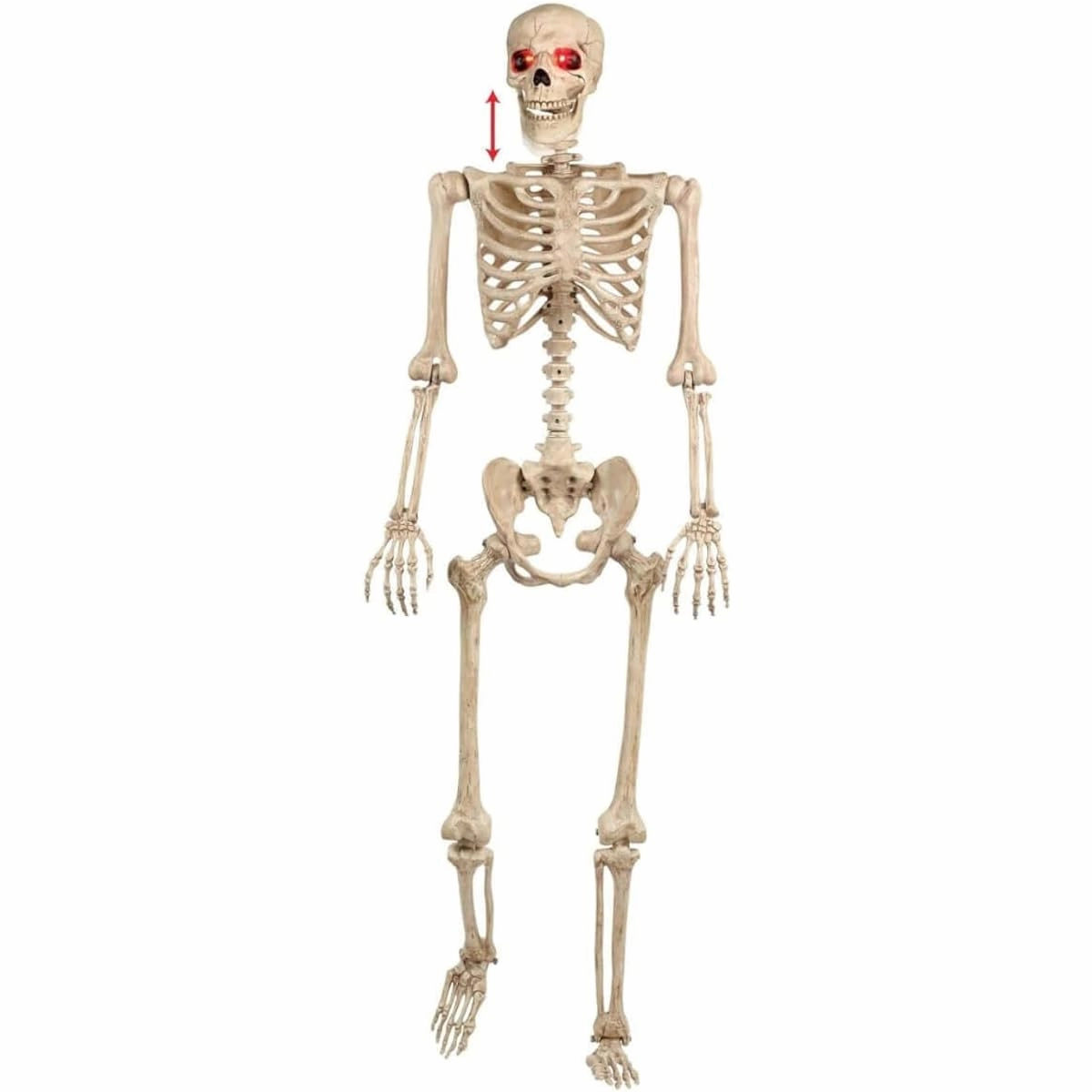 Crazy Bonez Talking Pose and Stay Skeleton