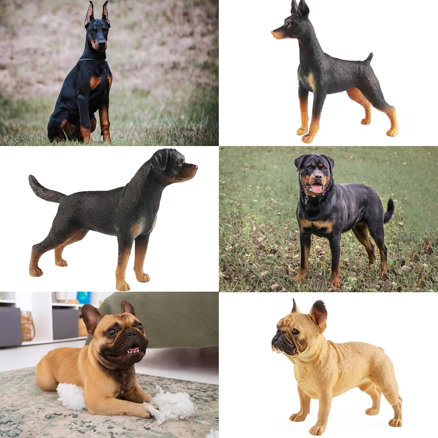 EOIVSH 12PCS Realistic Dog Figurines Toy, Plastic Puppy Figures Set, Dogs Figures Cake Toppers Birthday Gift for Kids Toddlers