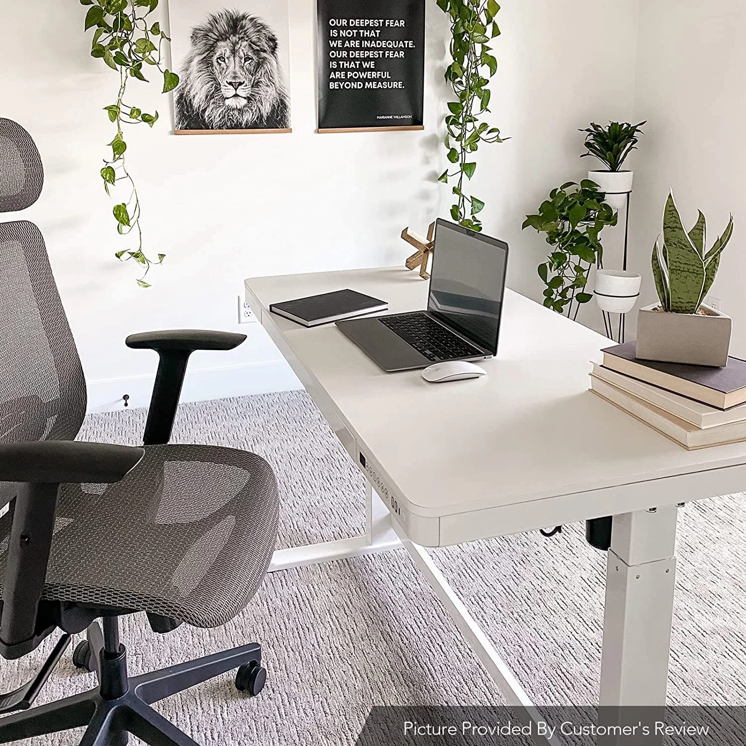 FLEXISPOT All-in-One Electric Standing Desk with Drawer Height Adjustable 48 x 24 Inches White Desktop & Frame Quick Install Comhar Home Office Table w/USB Charge Ports, Storage Desk Organizer
