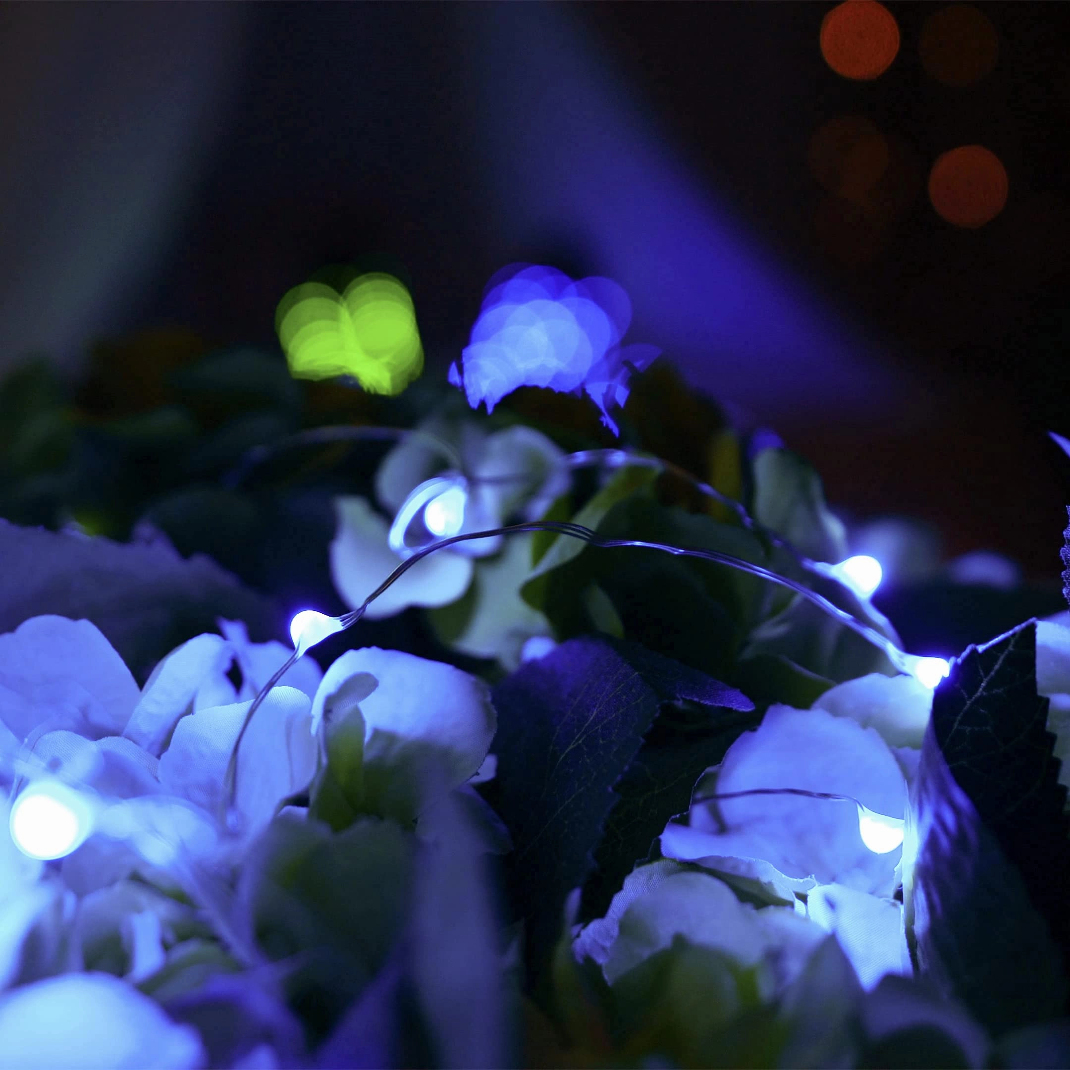 Homemory 12 Pcs Fairy String Lights, 6.6ft 20LED Starry Lights Battery Operated