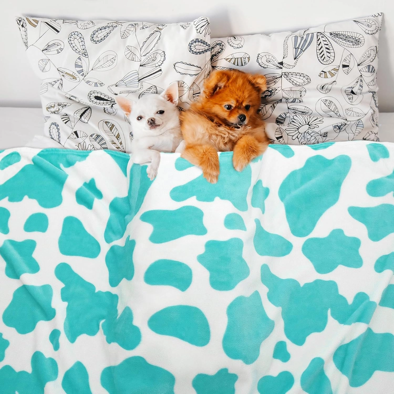 HSEEC Blue Plush Blanket Throws Cow Print Blanket Soft Fleece Flannel Small Throw Blanket for Couch 60 x 80 inch