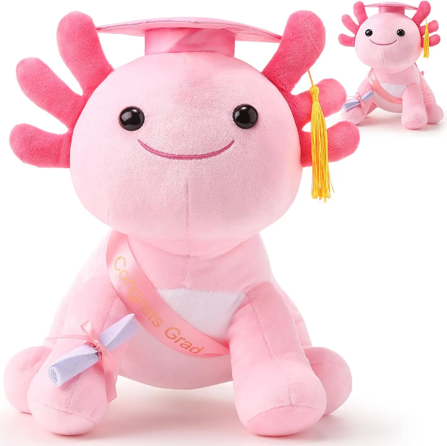 HyDren 10 Inch Graduation Axolotl Plush Stuffed Animal Axolotl Stuffed Animals with Graduation Hat Diploma and Sash, Plush Gift for Preschool, Kindergarten, Friend, Relatives(New Pink)