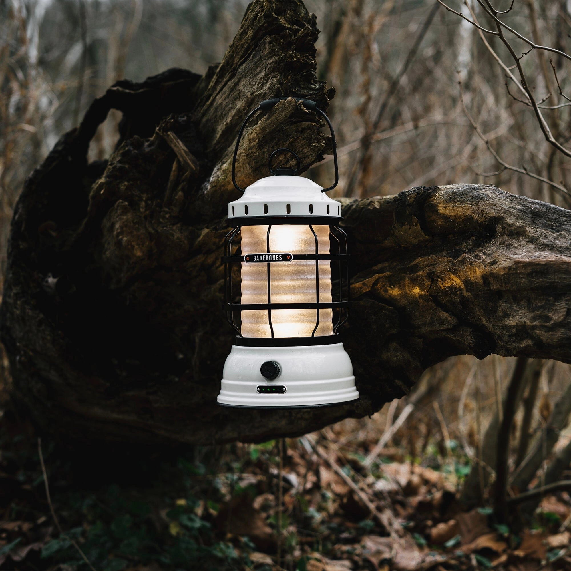 Rynx | Forest Lantern Set
