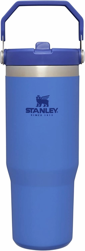 STANLEY IceFlow Stainless Steel Tumbler - Vacuum Insulated Water Bottle for Home, Office or Car Reusable Cup with Straw Leak Resistant Flip Cold for 12 Hours or Iced for 2 Days