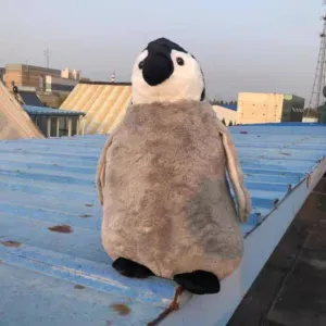 TAMMYFLYFLY Penguin Stuffed Animal Cute Penguin Plush Doll Toy, Plush Toy, 55cm Soft Toy
