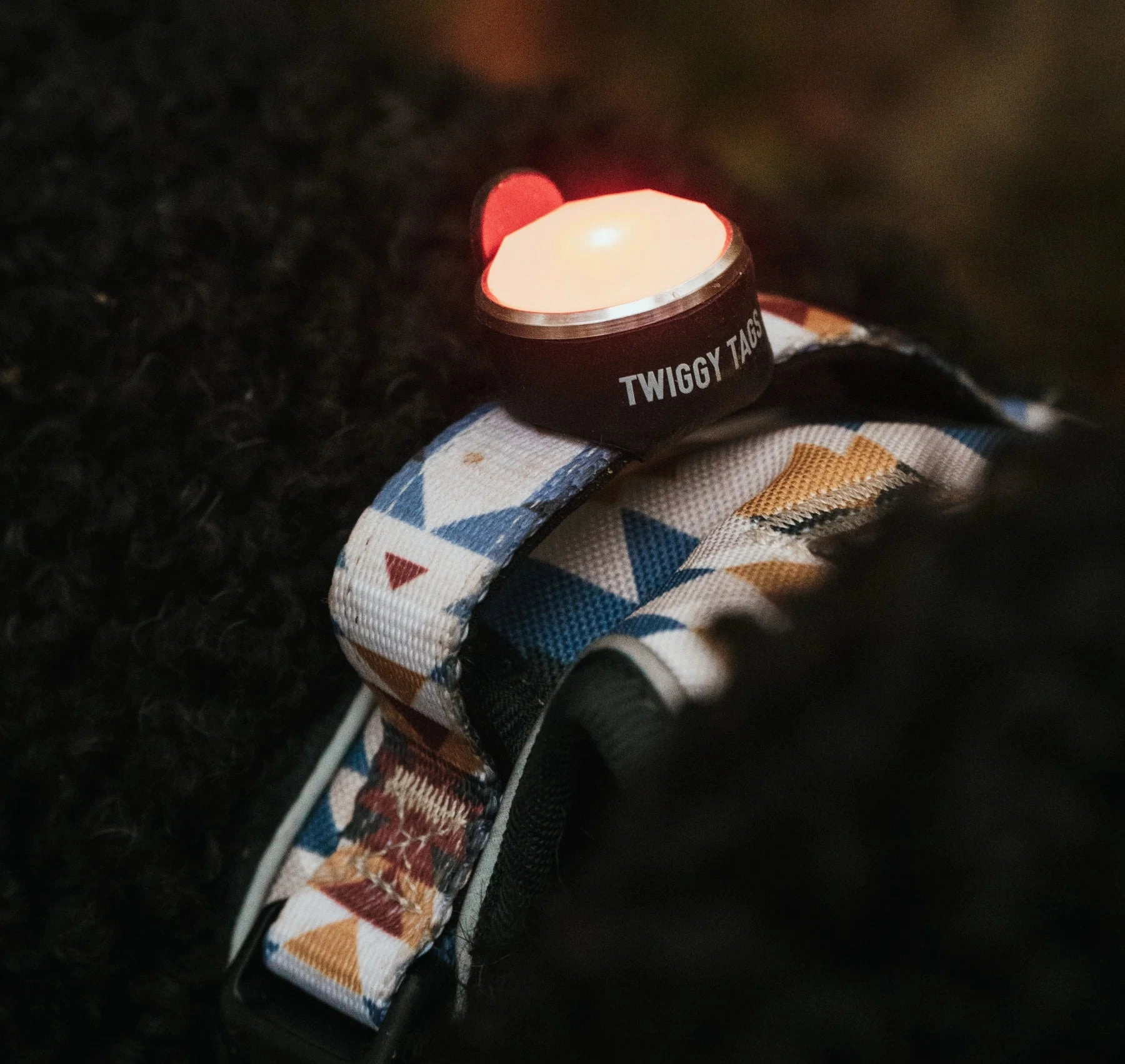 Twiggy Tags TrekBright Dog Safety Light