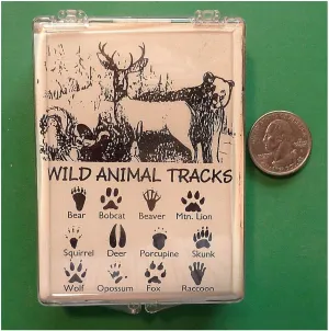 Wild Animal Tracks, Set of 12 Wood Mounted Rubber Stamps