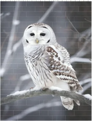 Winter White Owl Building Block Puzzle Personalized Building Bricks for Adults Square Shaped DIY Brick Block Puzzles Valentine's Day Gifts for Home Decor Brick Puzzle
